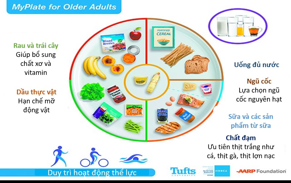 Dinh dưỡng hoạt động thể lực cho người cao tuổi