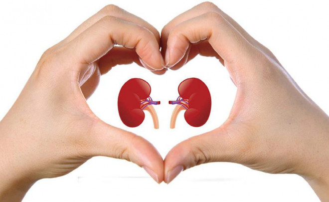 8 VIỆC NHỎ - LỢI ÍCH LỚN: CÁCH CHĂM SÓC THẬN AI CŨNG NÊN BIẾT